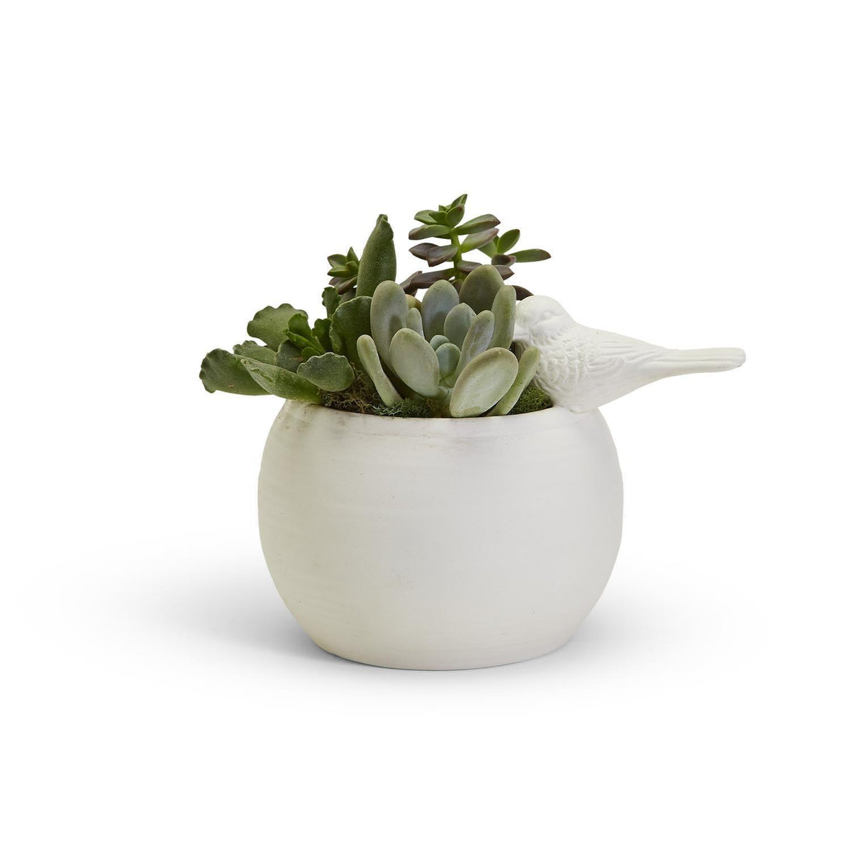 Sitting Pretty Vase