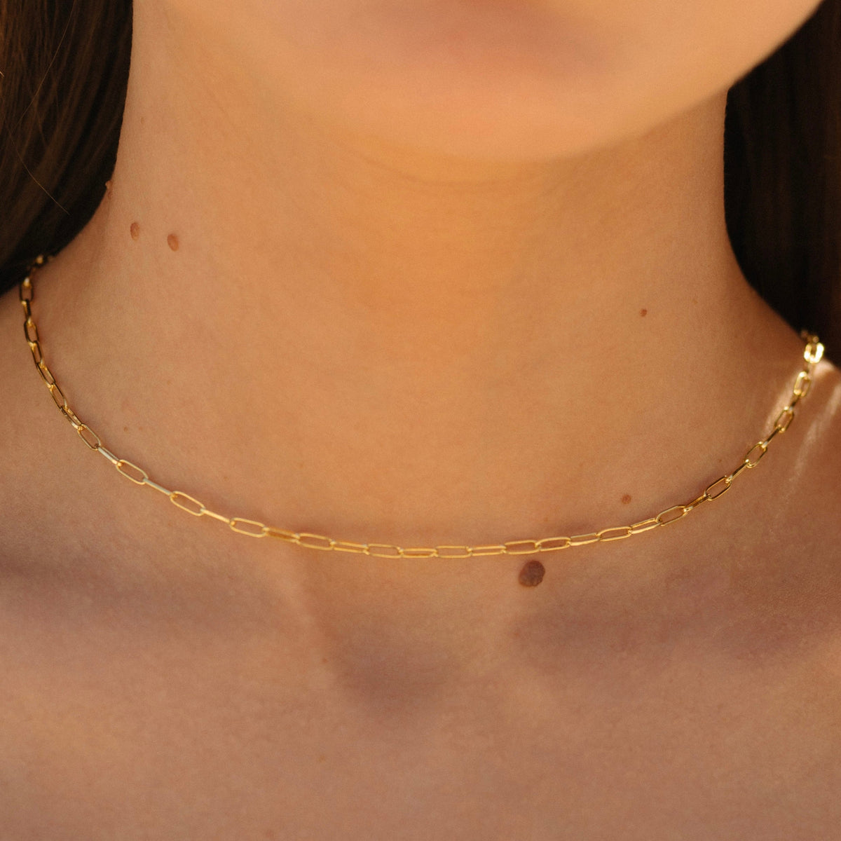 Paperclip Necklace