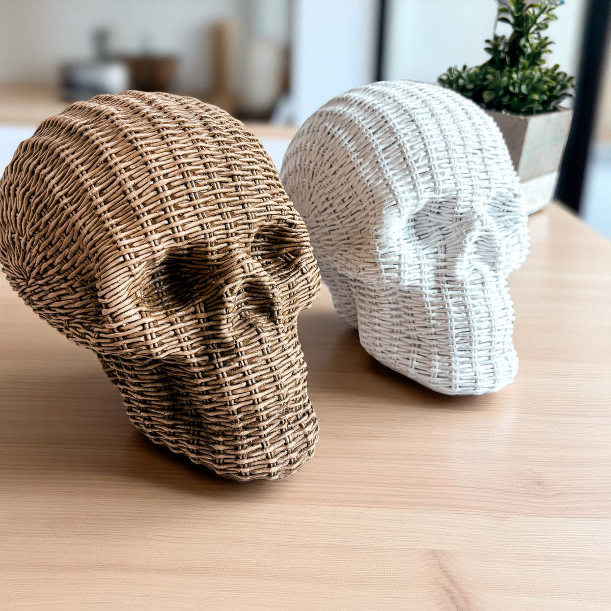 Skull Me