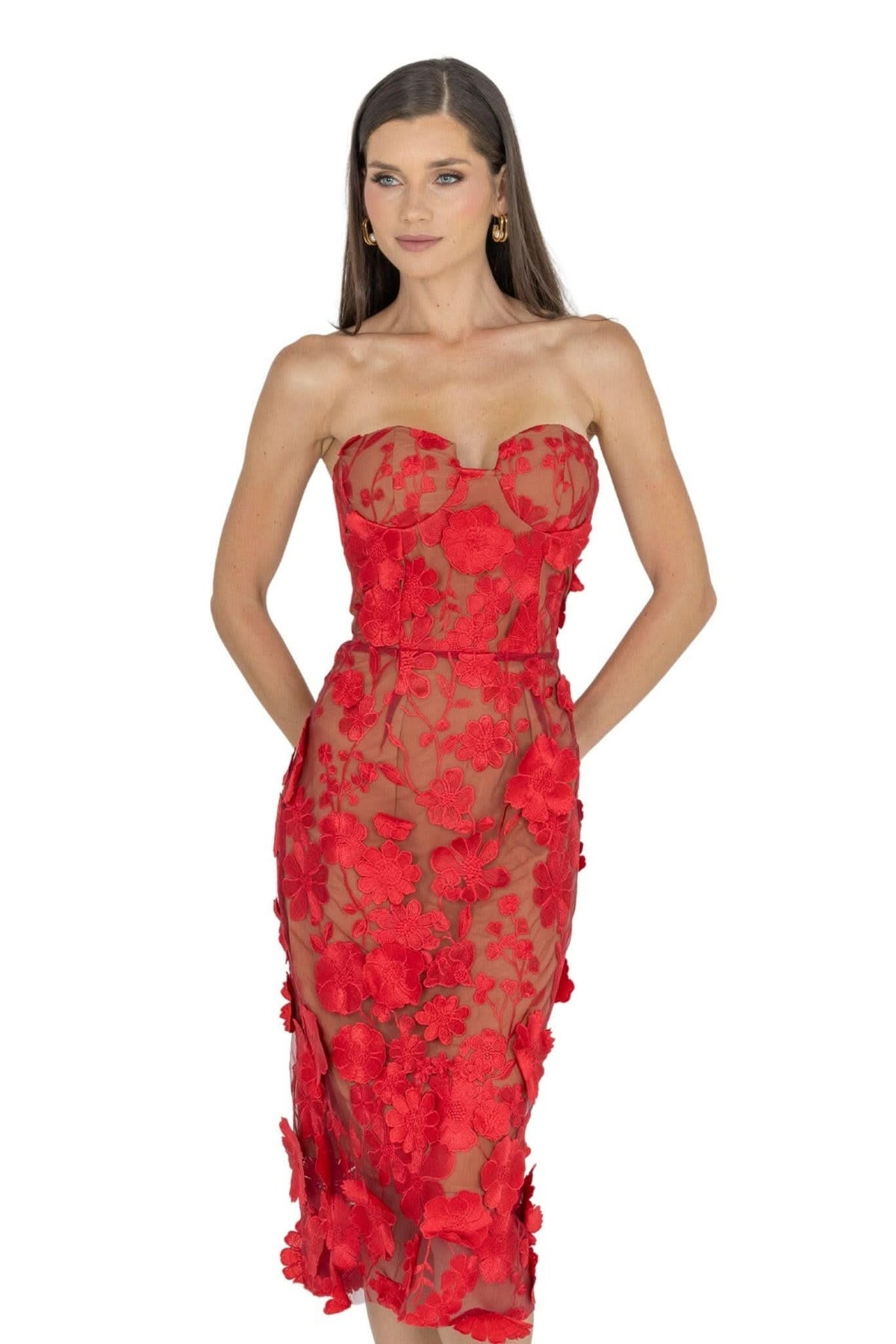 Anni Floral Embroidered Strapless Midi Dress