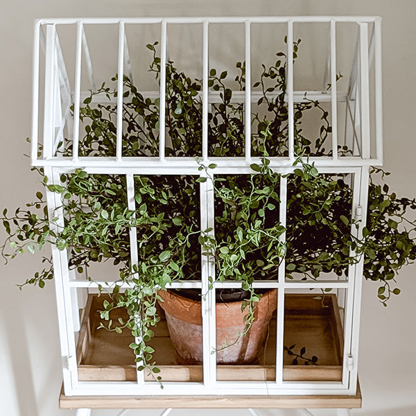 Greenhouse Inspired Outdoor Plant Stand