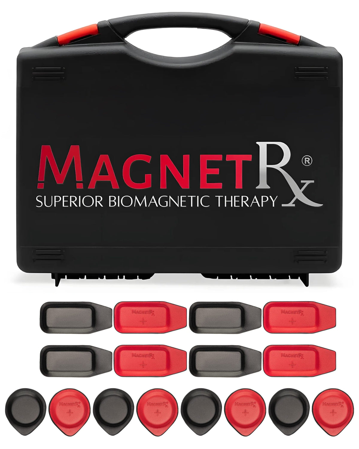 Biomagnetic Therapy Magnet Kit — Ferrite & Leather (16 Small Mixed Units)
