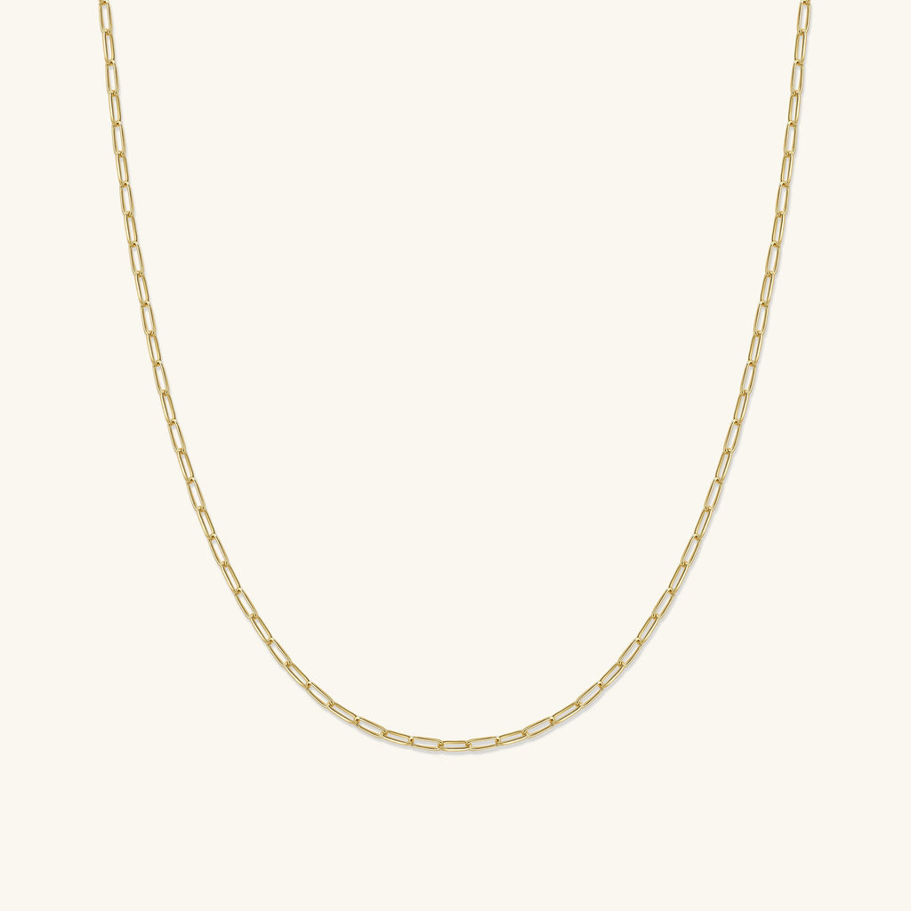 Paperclip Necklace